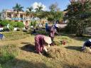 ve sinh truong lop 4 .jpg - 