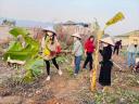 trong cây 23 .jpg - 