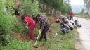 11.10.15.ldvc 1 .jpg - 