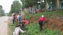 11.10.15.ldvc 2 .jpg - 