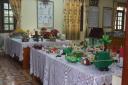 18-4-19stem 15 .jpg - 