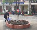 28-2-20 19 .jpg - 